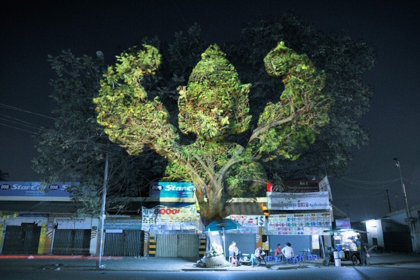 Световые инсталляции на деревьях в Камбодже ,прикольные картинки,приколы